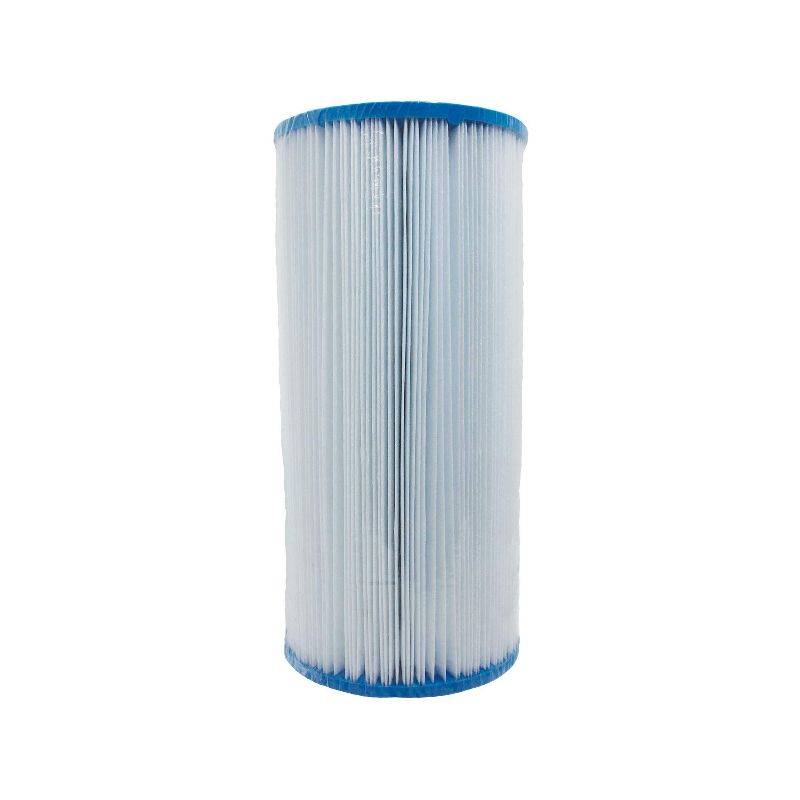 Intex Type "D" Filter Cartridge
